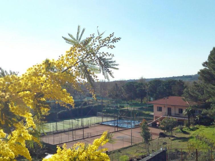 Villa Mimosa Zafferana Etnea Εξωτερικό φωτογραφία